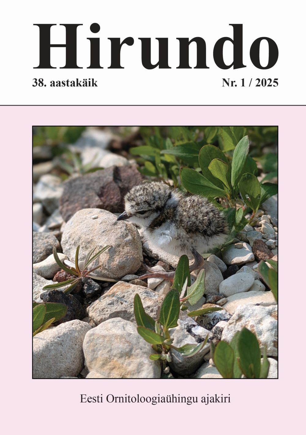 Hirundo ajakirja esikaas
