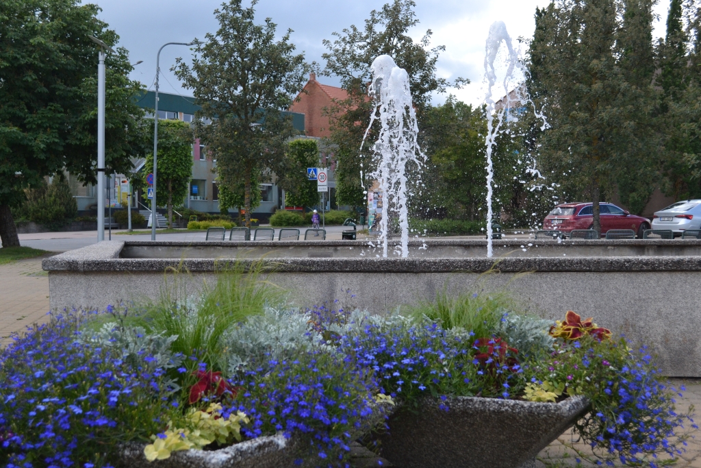 DSC_0403.JPG