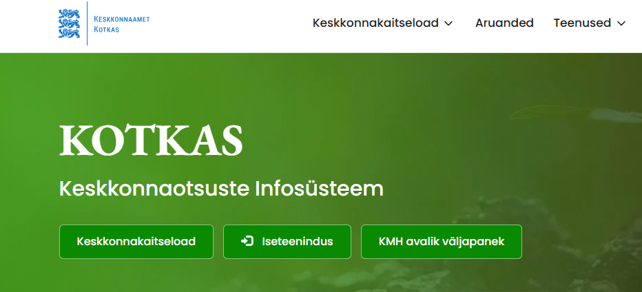 kotkas.PNG