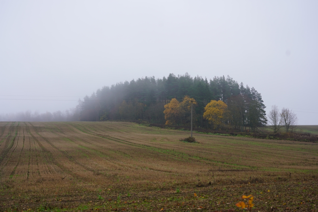 DSC03037.JPG