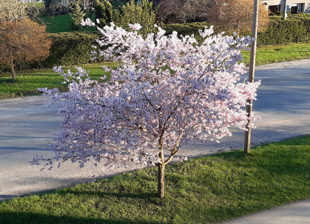20250425_192514.jpg
