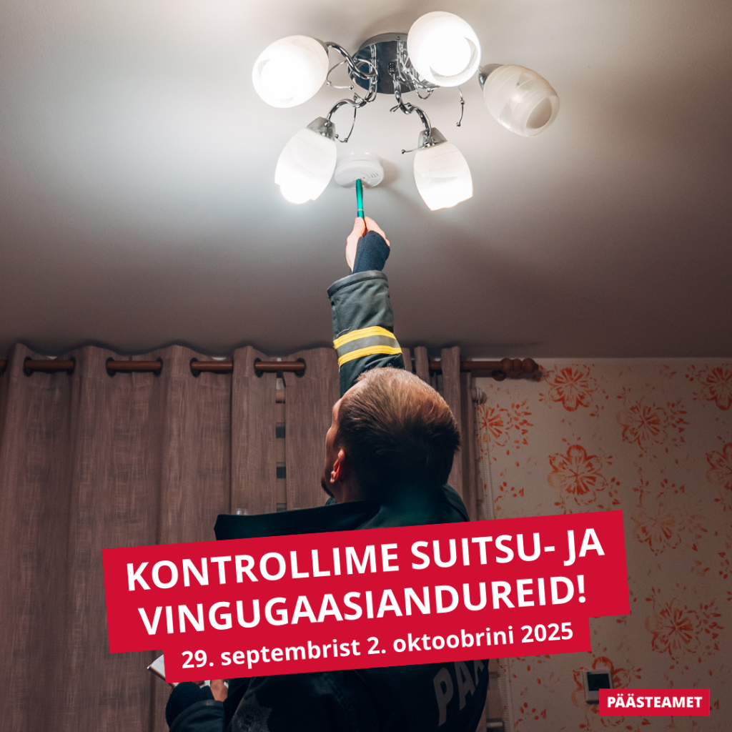 Andur_2025_ruut_1.png