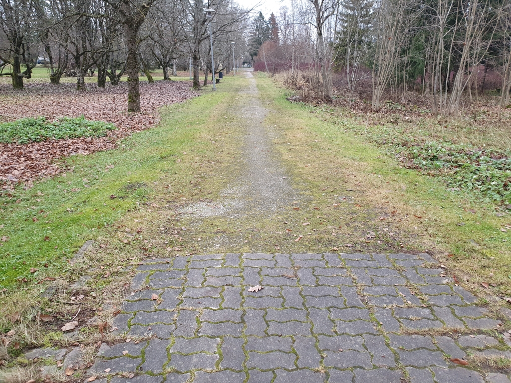 20251117_124818.jpg