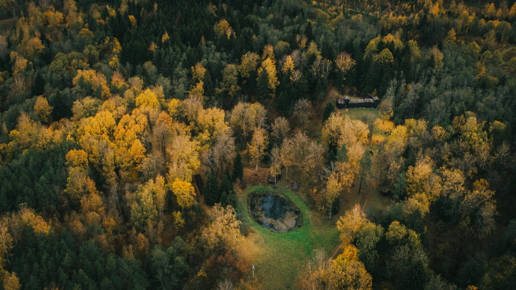 kassinurme (1 of 1)-2.jpg