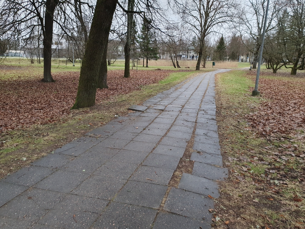 20251225_110139.jpg